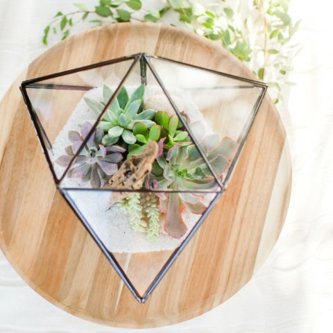 The Coastal Succulent Weddings