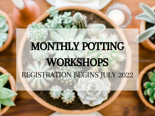 Monthly Potting Workshops