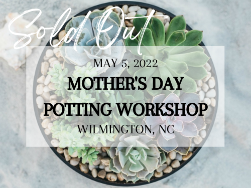 Mothers Day 2022 potting workshop