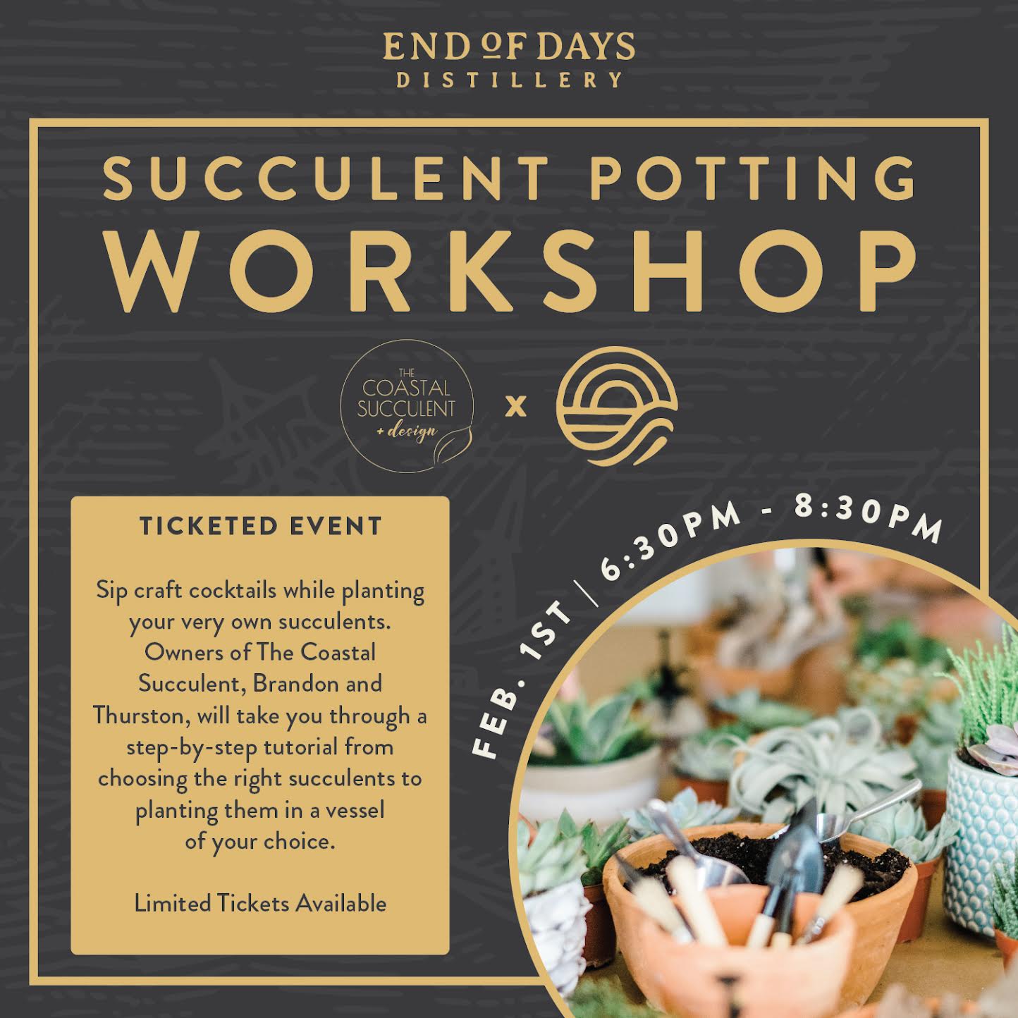 OD Succulent Potting Workshop