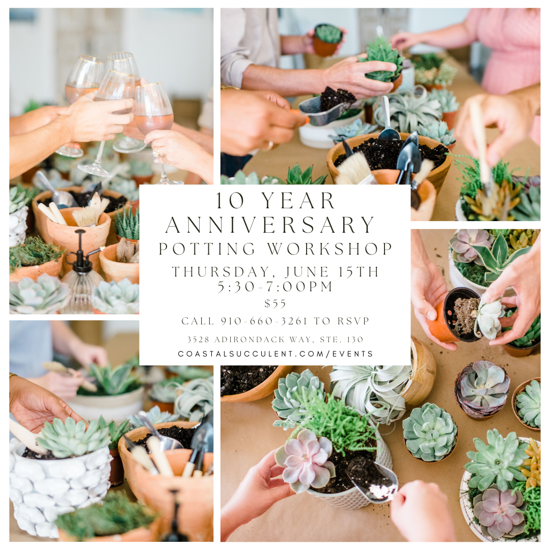 10 Year anniversary potting workshop